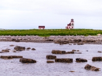 Nameless Cove, Nowa Fundlandia